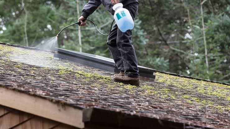 Signs You Need Roof Cleaning Before It's Too Late (Roseville, Sacramento & Citrus Heights) image