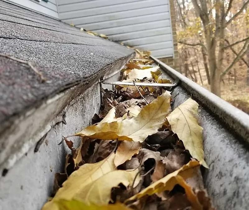 Signs You Need Roof Cleaning in Elk Grove, CA | EXT Cleaning image