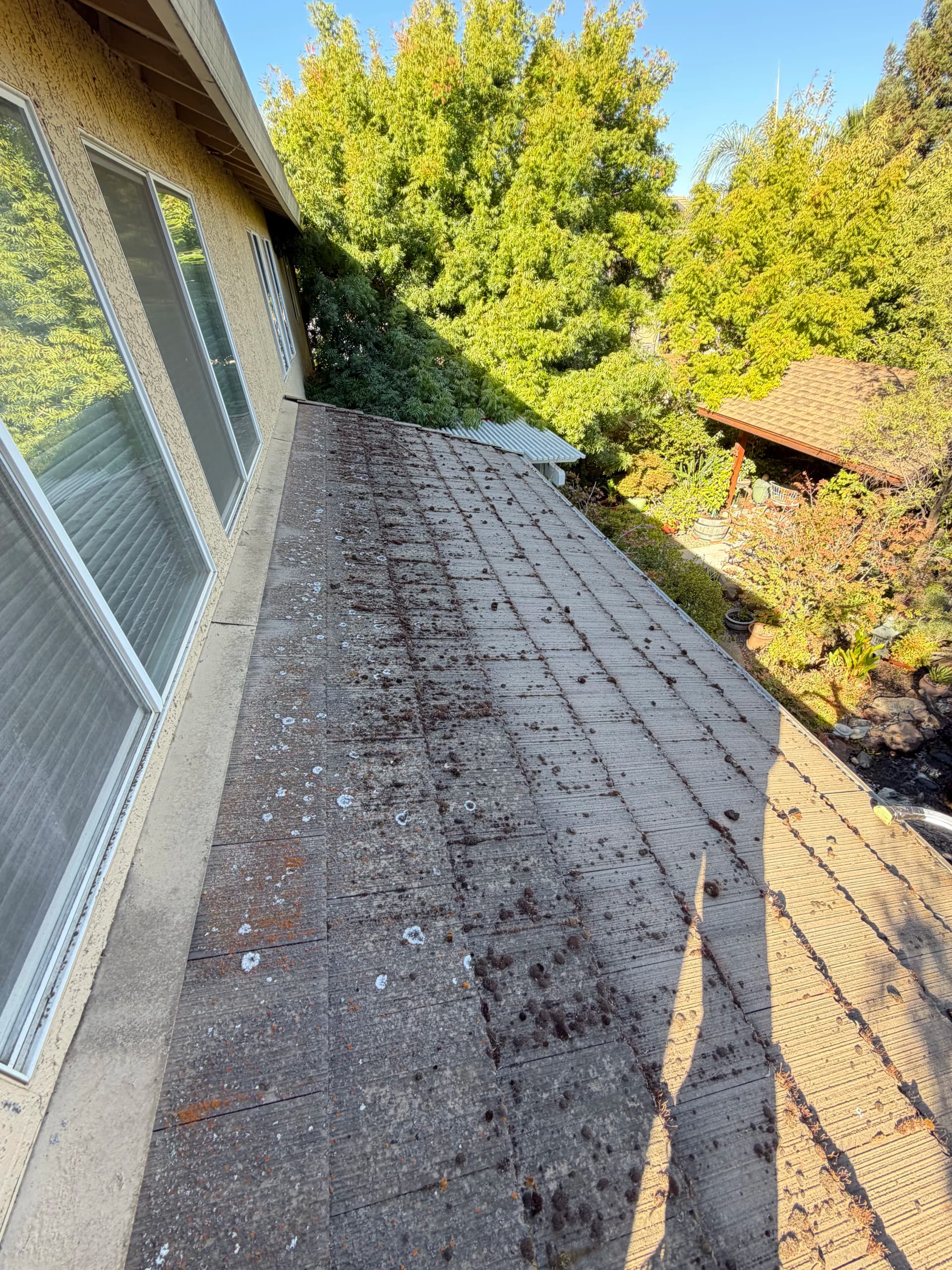 Signs You Need Roof Cleaning in Folsom, CA | EXT Cleaning image