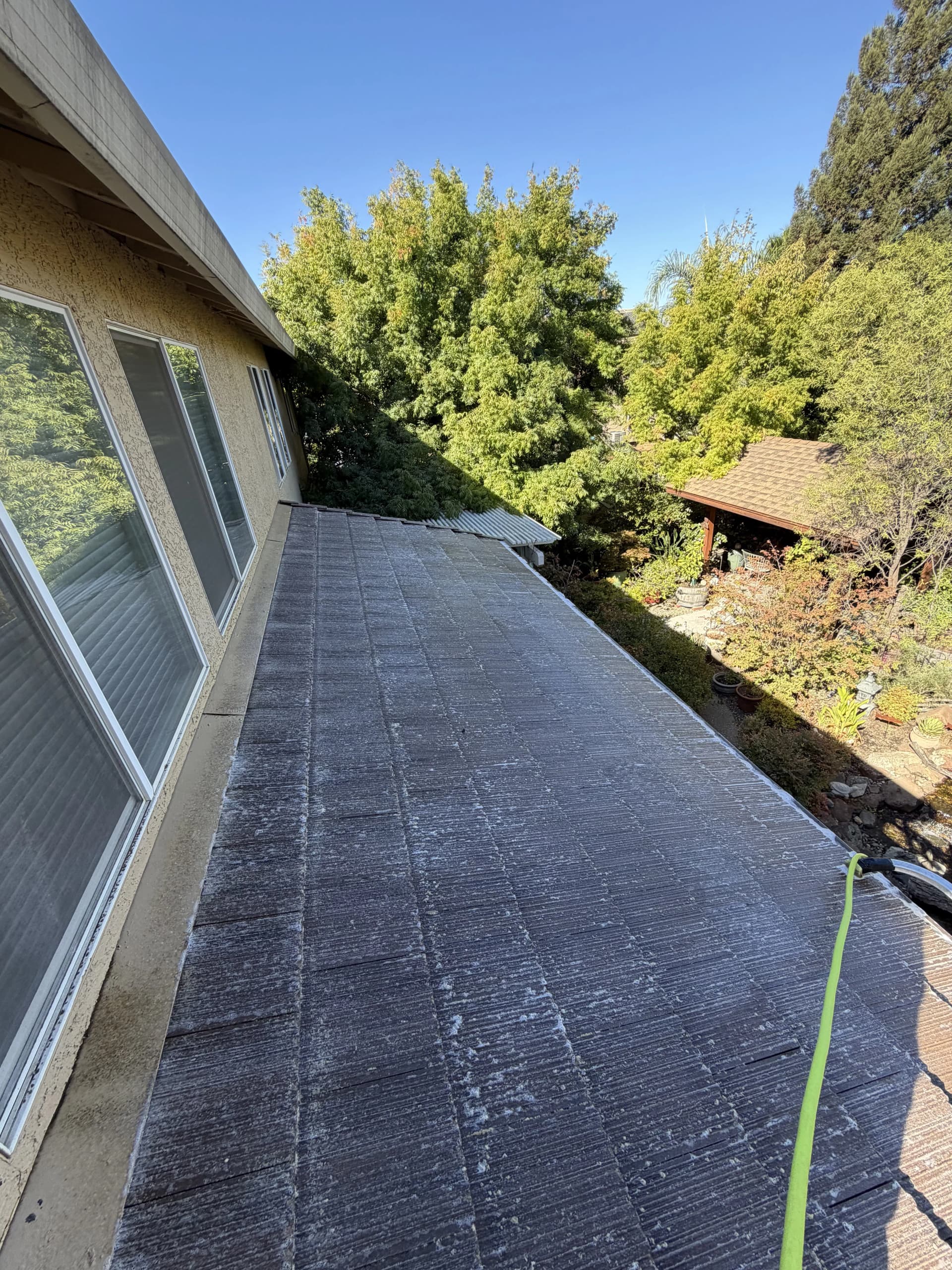 Gutter Cleaning vs. Moss Removal in Folsom: Do You Need Both? image