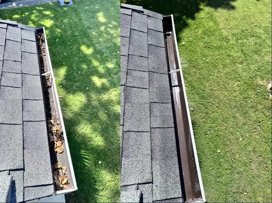 Why Is Moss Growing on My Roof? A Guide for Citrus Heights, Sacramento & Roseville image