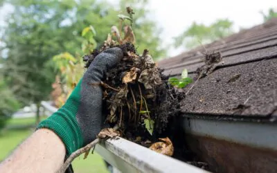How Much Does Gutter Cleaning Cost in Sacramento