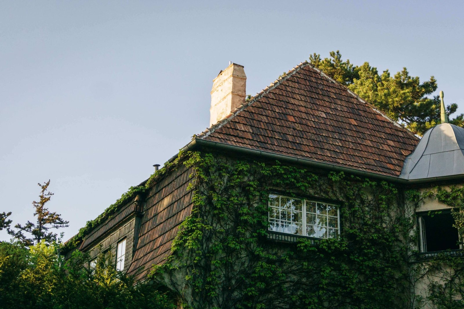 How to Remove Moss From Roof